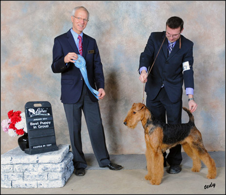 Canuck Dogs Your source for Canadian dog event information online