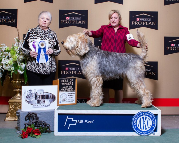 Canuck Dogs Your source for Canadian dog event information online