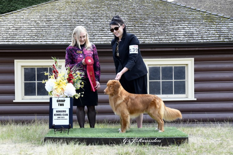 Dog sales club house