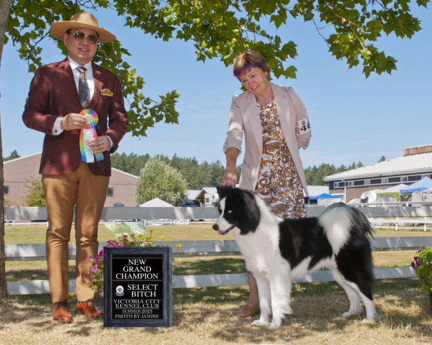 Canuck Dogs Your source for Canadian dog event information online