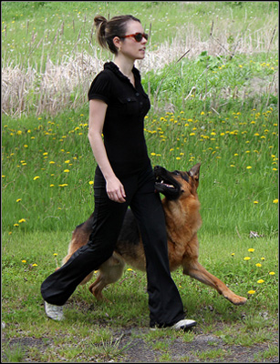 Canuck Dogs Your source for Canadian dog event information online