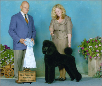 dog photo