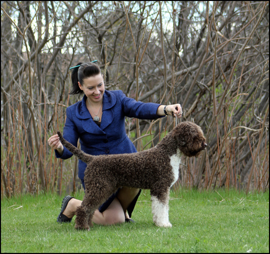 dog photo