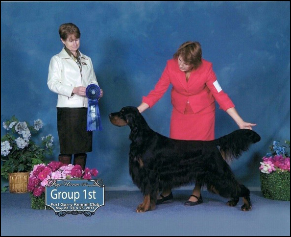 dog photo