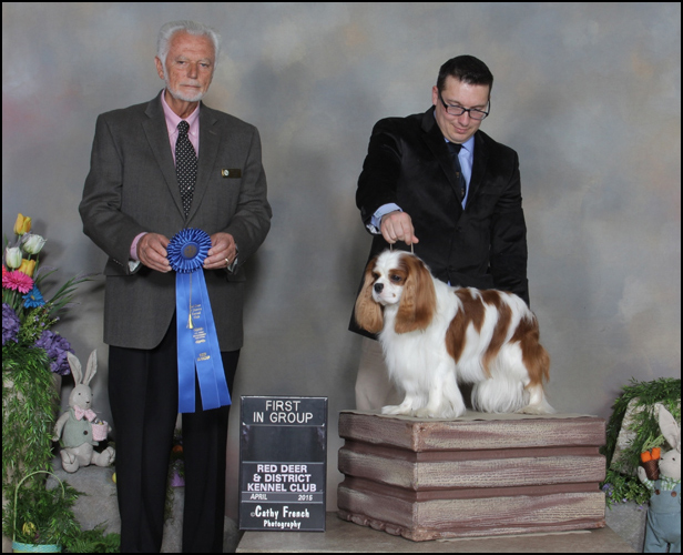 dog photo