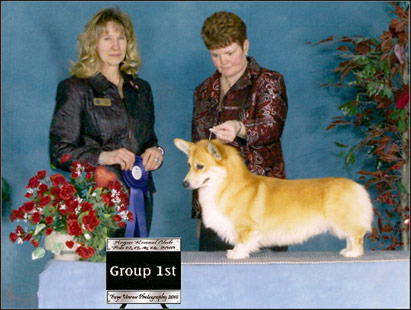 dog photo