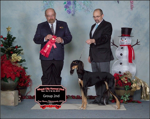 dog photo