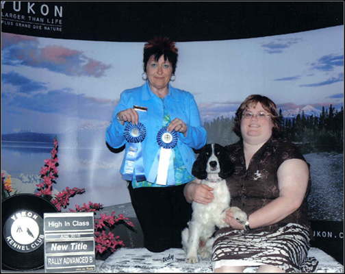 dog photo