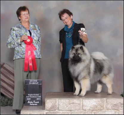dog photo