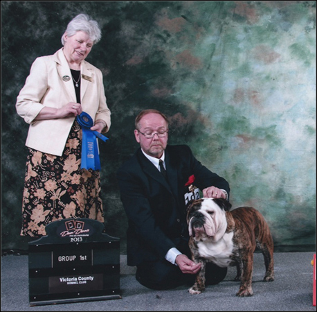 dog photo
