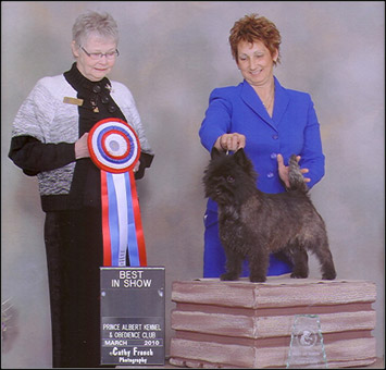 dog photo