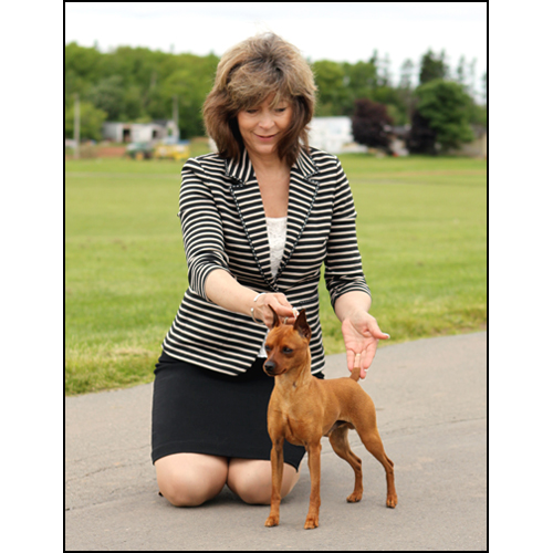 dog photo