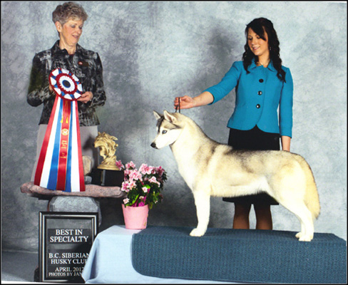 dog photo