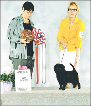 dog photo