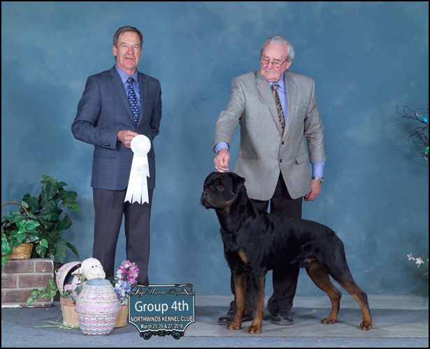 dog photo