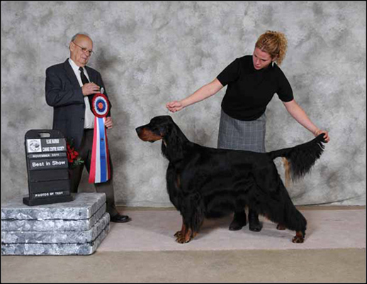 dog photo