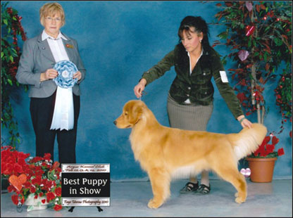 dog photo
