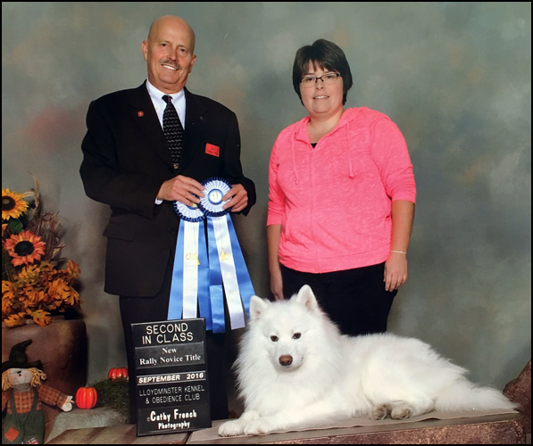 dog photo