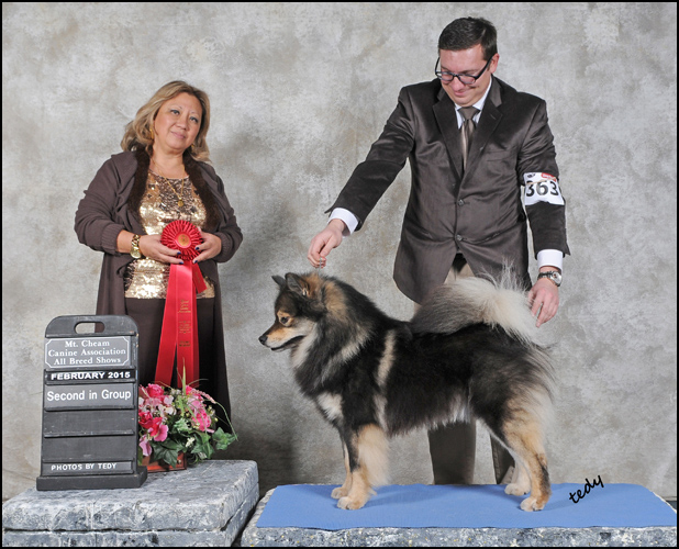 dog photo