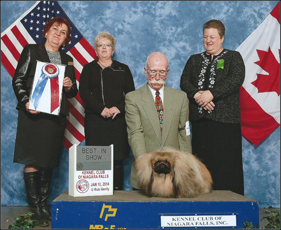 dog photo