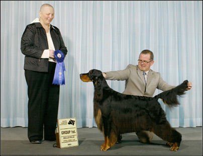 dog photo