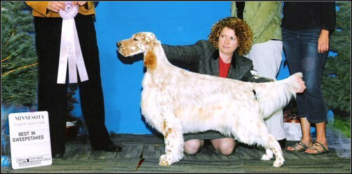 dog photo