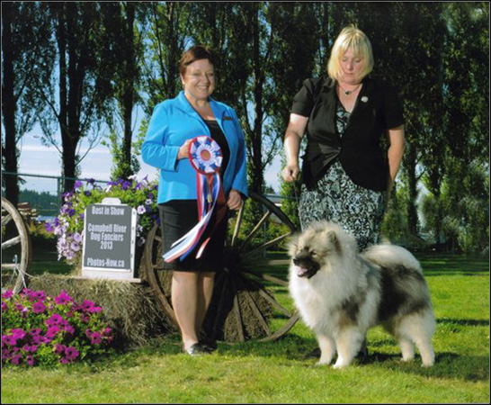 dog photo