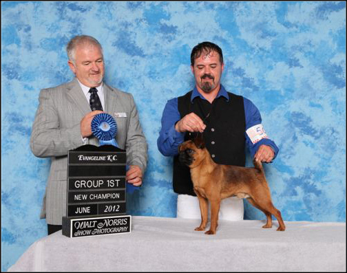 dog photo