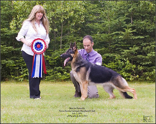 dog photo