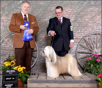 dog photo
