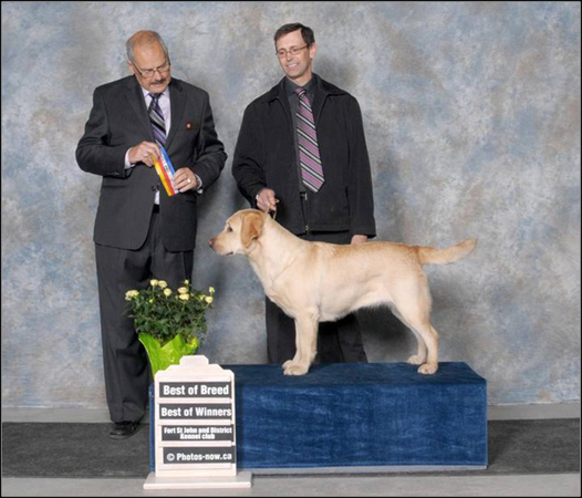 dog photo