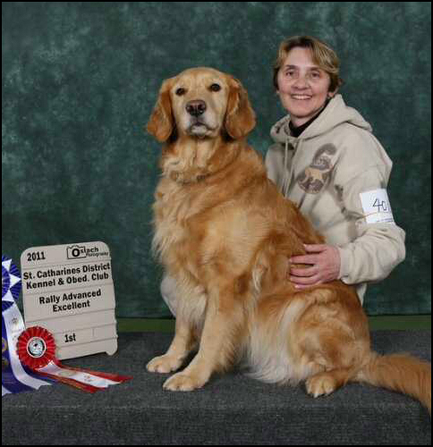dog photo