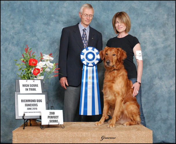 dog photo