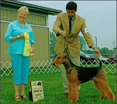 dog photo