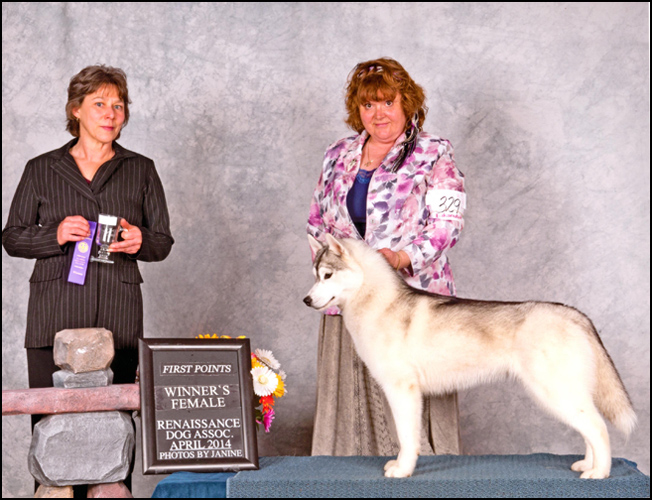 dog photo