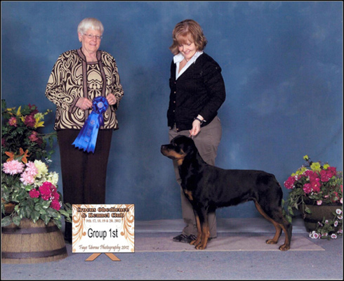 dog photo