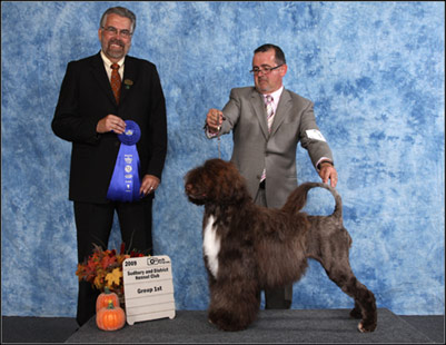 dog photo