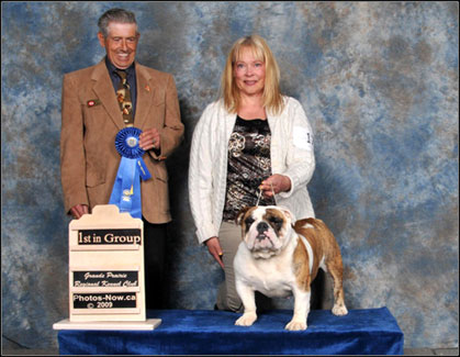 dog photo