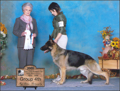dog photo