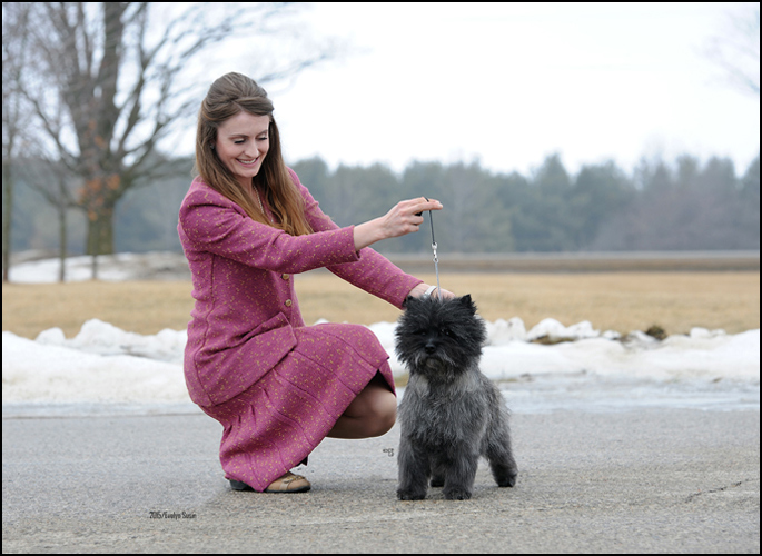 dog photo