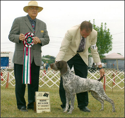 dog photo