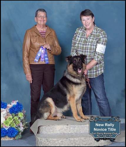 dog photo