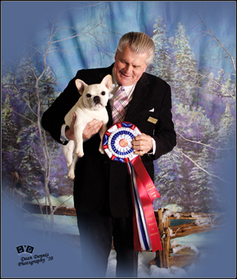 dog photo
