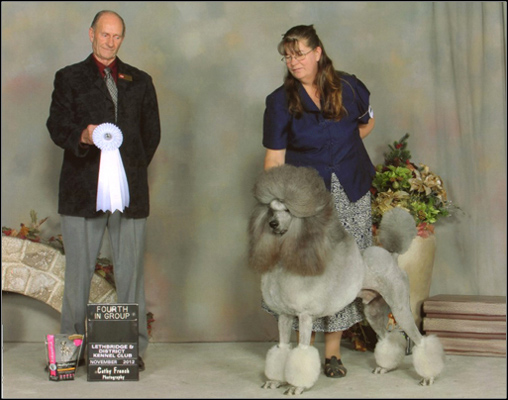 dog photo