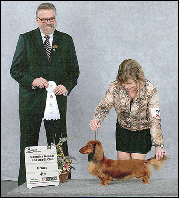dog photo
