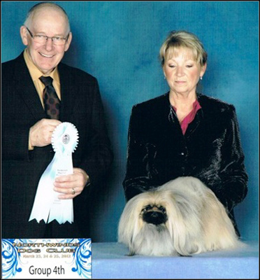 dog photo