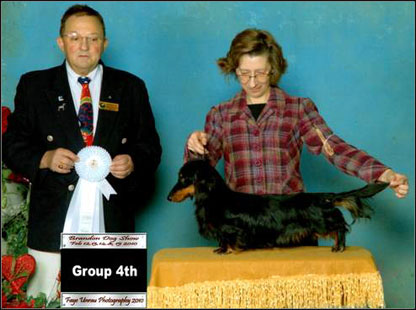 dog photo