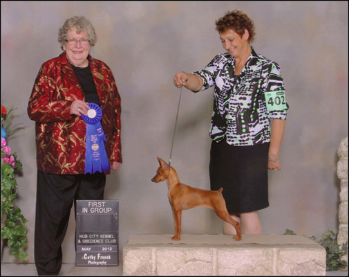 dog photo