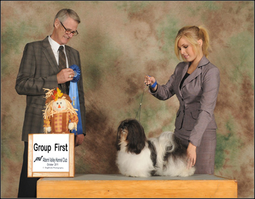 dog photo