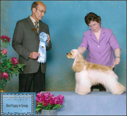 dog photo